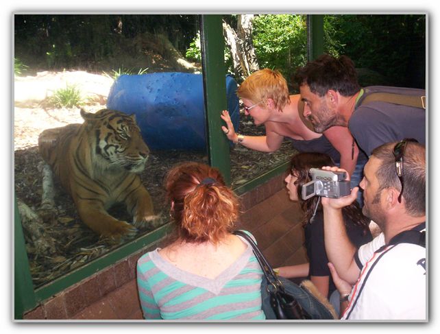 DJ SJ Stuart & Karen with friend at Perth Zoo Feb 16th 2007